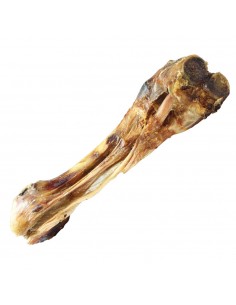 Tibia de ternea para perros