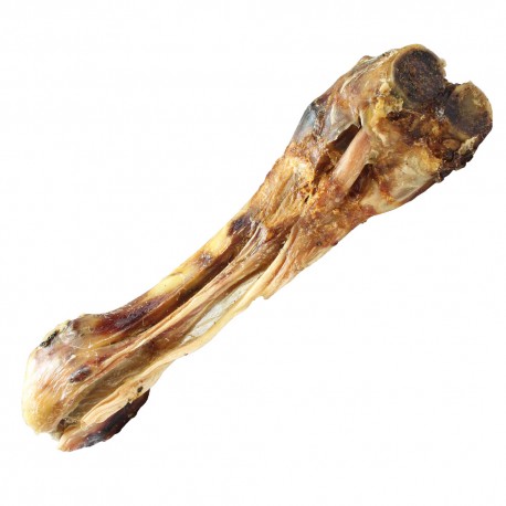 Tibia de ternea para perros