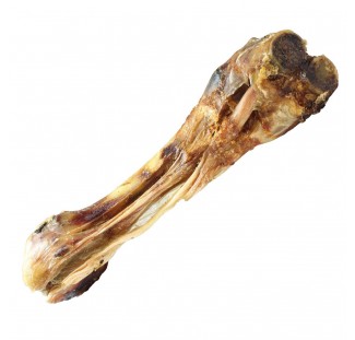 Tibia de ternea para perros