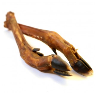 Deer Hoof for Dogs (without fur) - Treats for Dogs - AltuDog