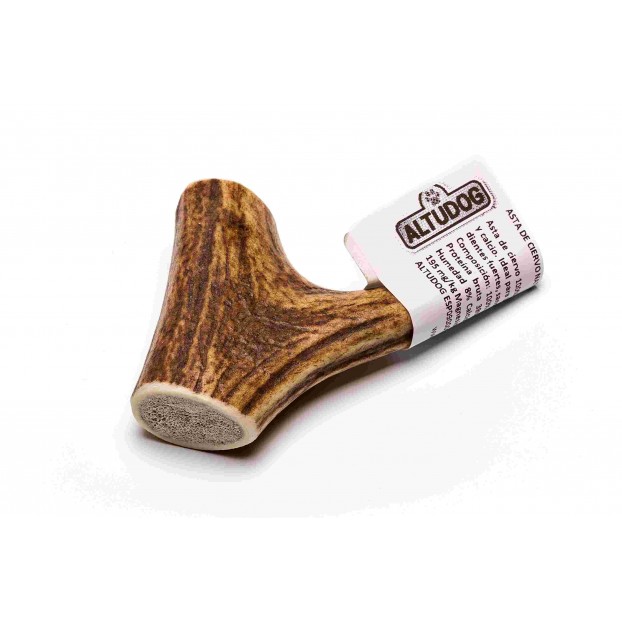 Bois De Cerf Taille Mini