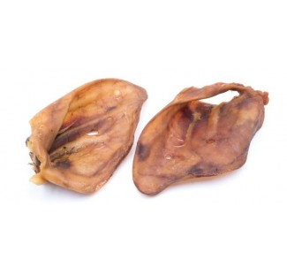 XL Pig Ear for Dogs, 100% natural snack