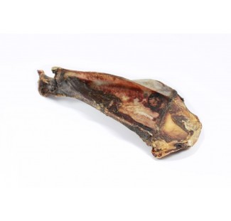 Cartilage d'omoplate de cerf 100g - Friandises et collations pour chiens - AltuDog